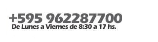 Contacto WhatsApp